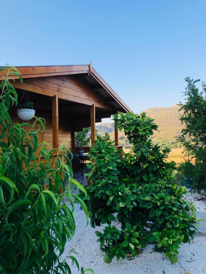 Happy Glamping Cy Villa Agios Theodoros Exteriör bild