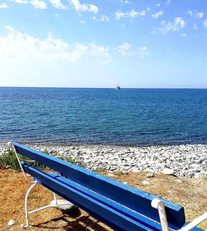 Happy Glamping Cy Villa Agios Theodoros Exteriör bild