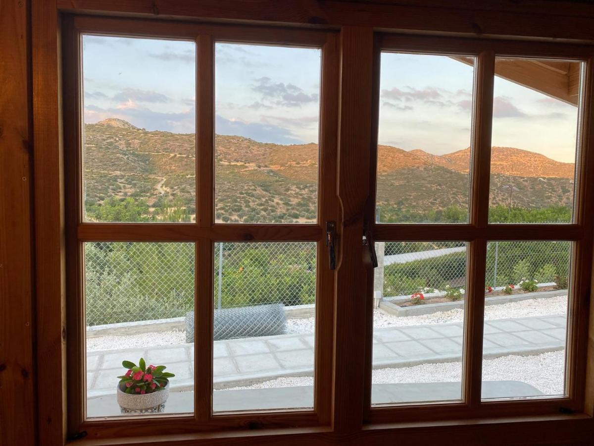 Happy Glamping Cy Villa Agios Theodoros Exteriör bild