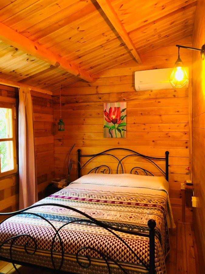 Happy Glamping Cy Villa Agios Theodoros Exteriör bild