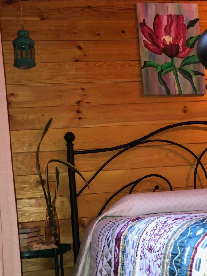 Happy Glamping Cy Villa Agios Theodoros Exteriör bild