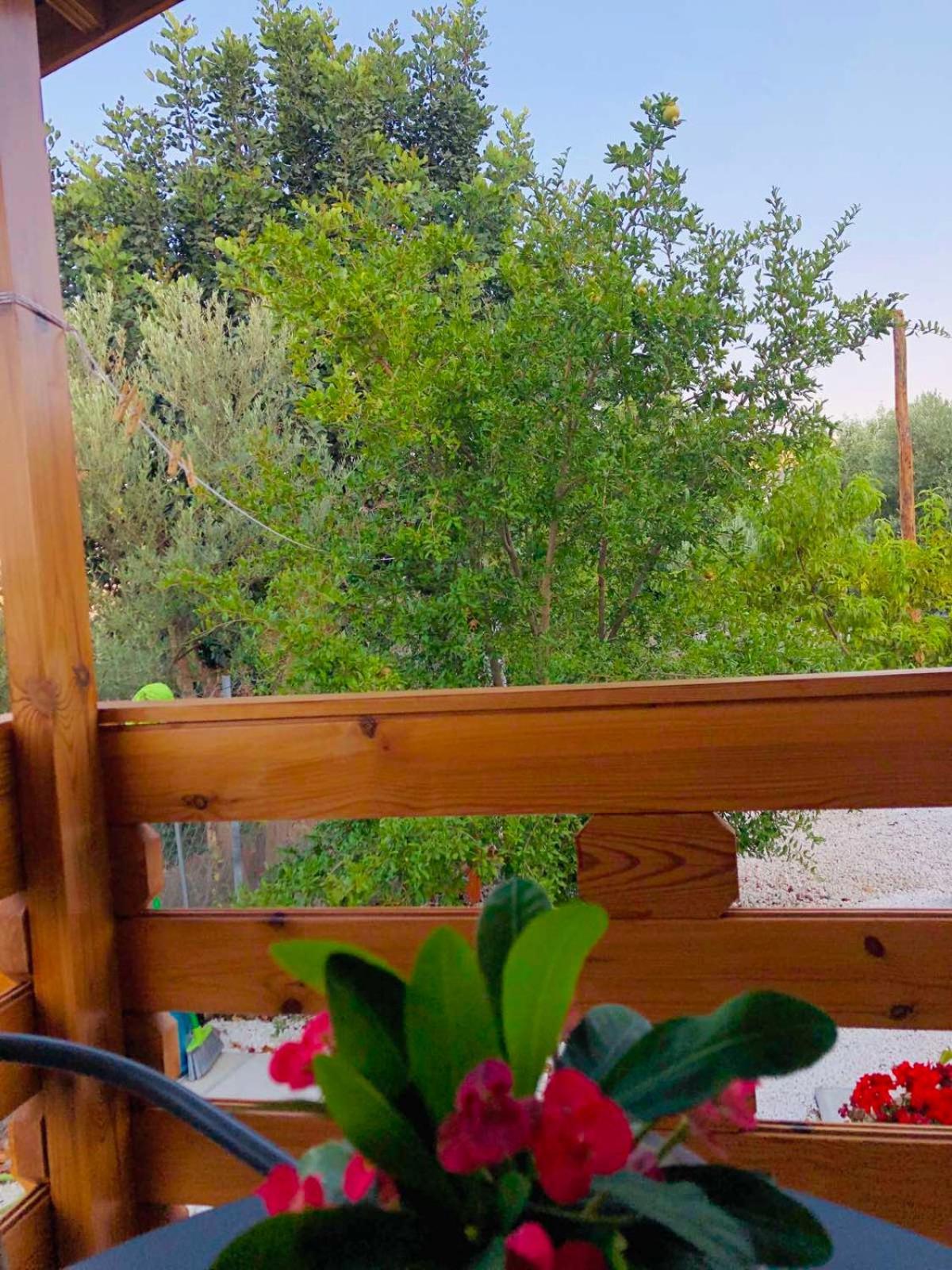 Happy Glamping Cy Villa Agios Theodoros Rum bild