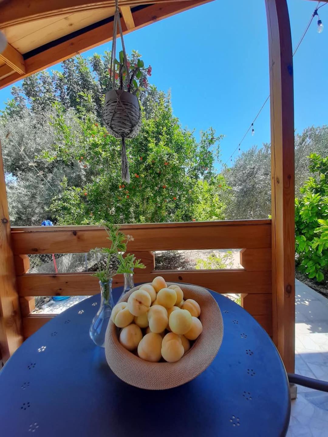 Happy Glamping Cy Villa Agios Theodoros Exteriör bild